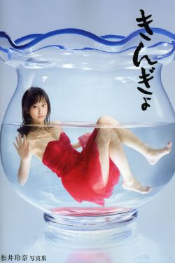 精武门甄子丹30集